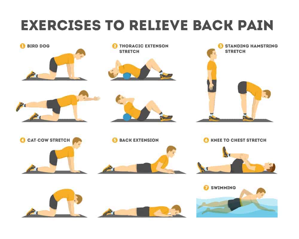 physiotherapy exercise for lower back pain