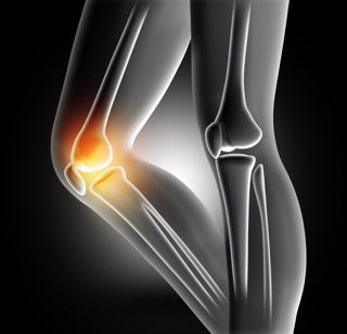 ortho surgery knee surgery rehabilitaiton